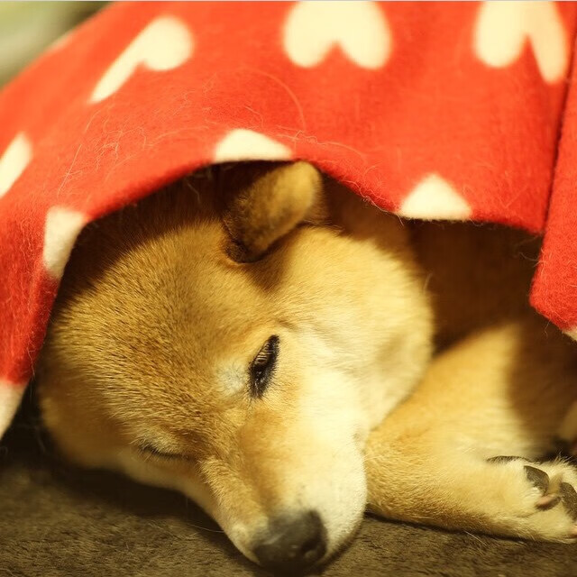 fb体育官网入口-穿越火线 老将归队 战局再添变数，穿越火线老兵回归三选一哪个好