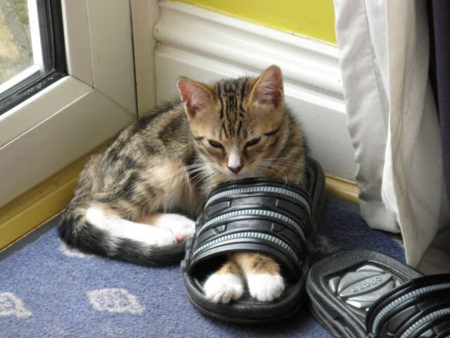 fb体育试玩-车身气动设计的革命性变化，汽车气动的优缺点