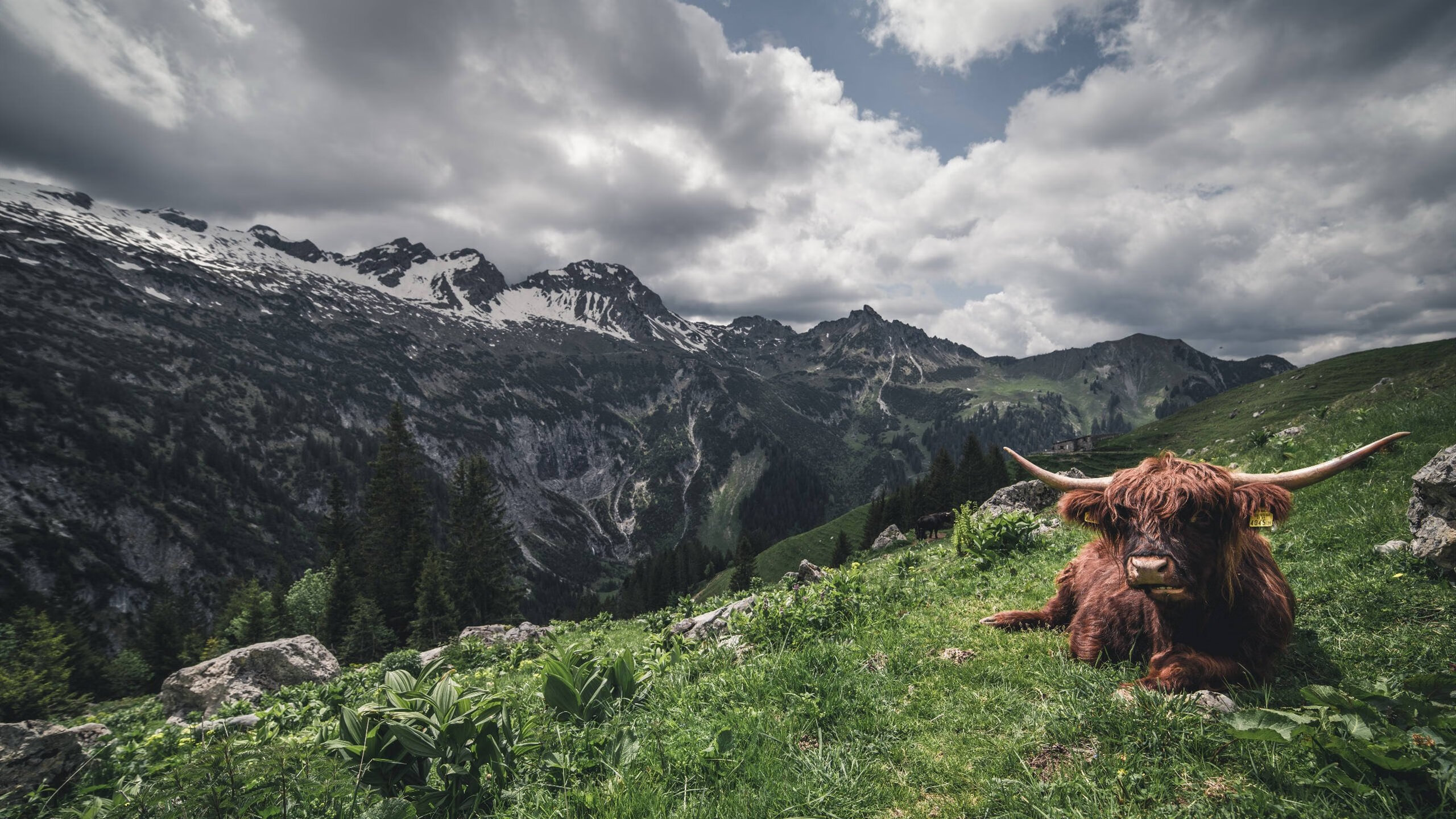 fb体育官网-热血拼搏：全球篮球世界杯风云再起，篮球世界杯集锦