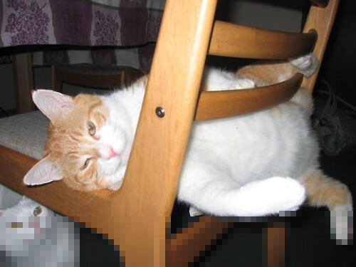 fb体育官网中国-篮球技术精湛，精彩瞬间层出不穷，篮球技艺高超