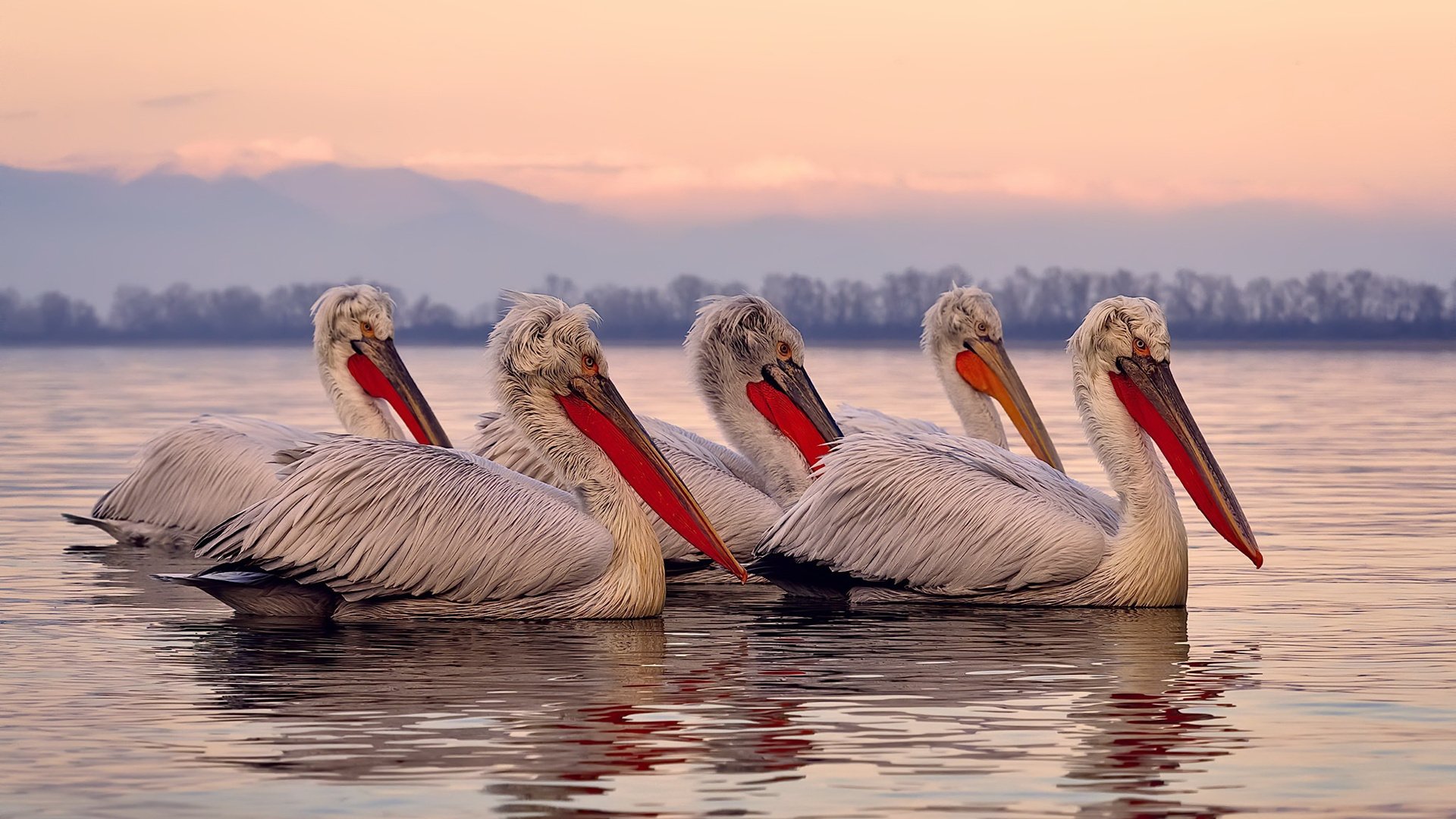 fb体育登录入口-职业篮球运动员薪酬结构，职业篮球运动员工资是由谁发放的