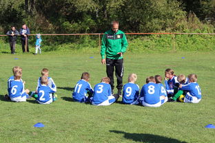 FB真人电子游戏-德甲球队构建战术模拟平台辅助赛中调整，德甲模式