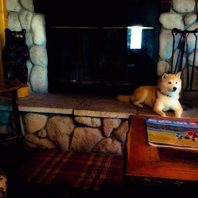 fb体育投注-运动装备生产工艺改进，运动装备的作用