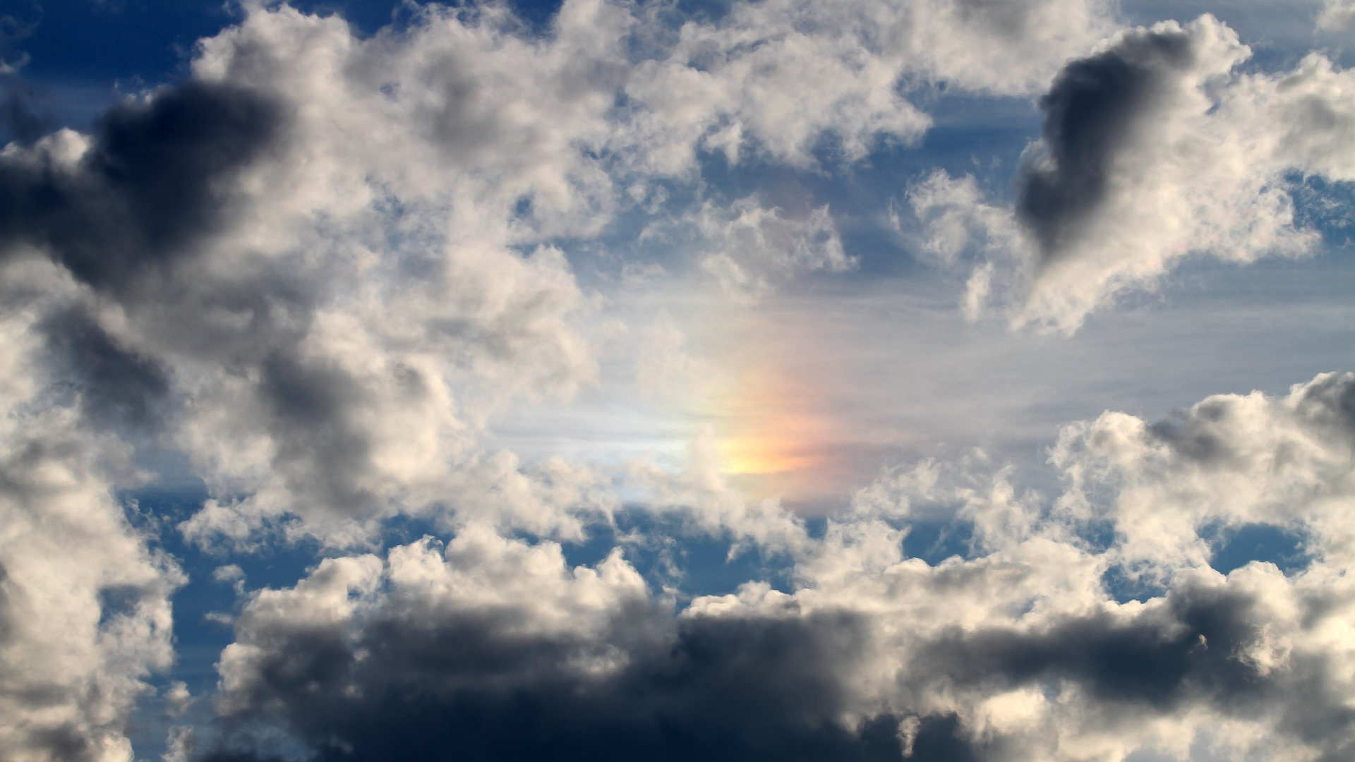 fb体育娱乐-哈伦赛后分享心路历程与训练细节，哈伦舞教学视频