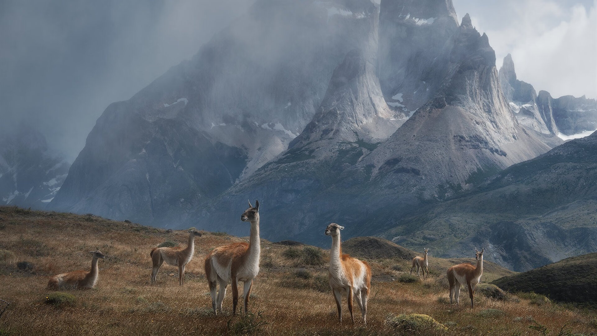 FB体育注册网址-巴尔：全黑队的中场支柱，每次抢断和传球都为球队创造进攻机会