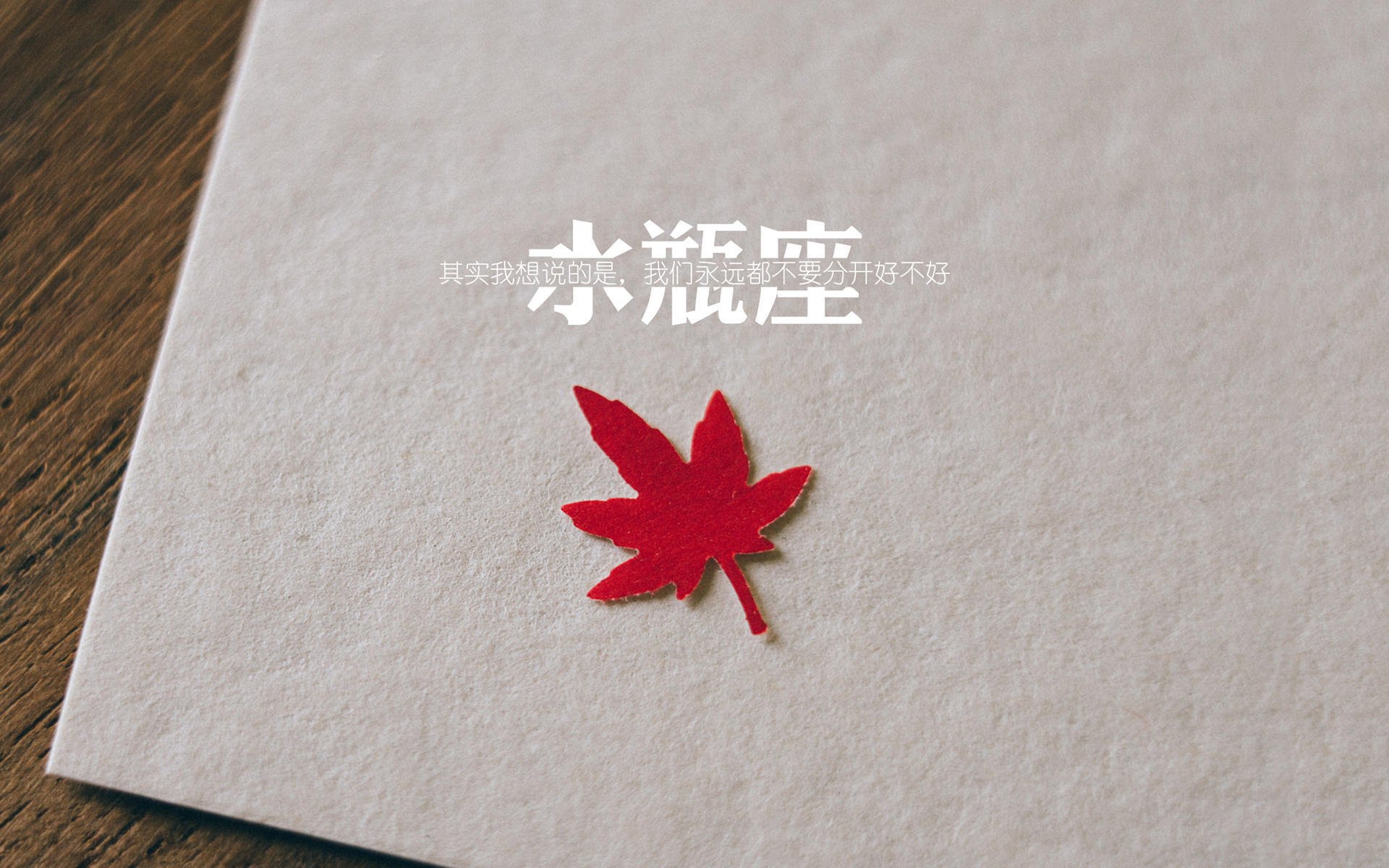 fb sports官网-美洲杯明星点燃激情：激情布满整个赛场！，美洲杯精彩集锦